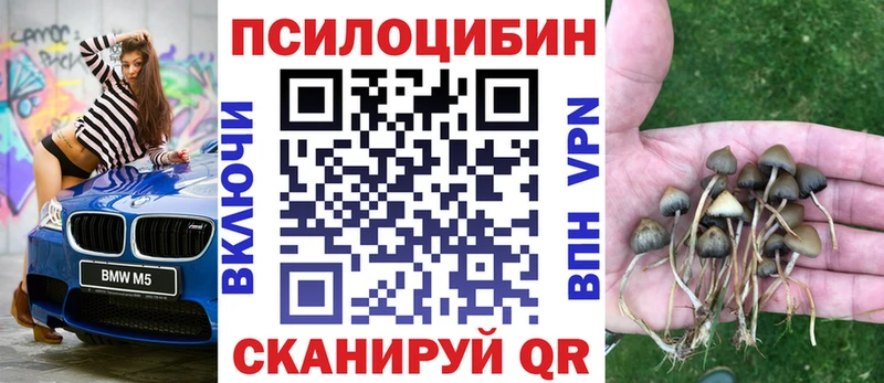 Псилоцибиновые грибы Magic Shrooms Камышин