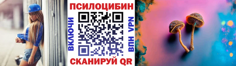 Галлюциногенные грибы Psilocybe  где найти   OMG tor  Камышин 